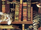 Хорошие книги меняют мир!
