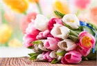 Поздравляем с Международным женским днем!