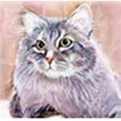 Бумага рисовая  Кошки - фото 19471