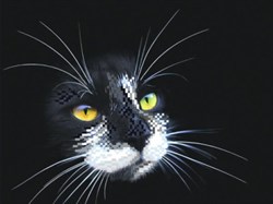 Рисунок на шелке  Черный кот - фото 19643