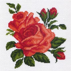 Рисунок на канве  Розы - фото 22530
