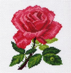 Рисунок на канве  Роза - фото 22534