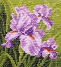 Рисунок на канве  Ирис - фото 22539
