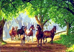 Набор для рисования по номерам  Табун лошадей - фото 24293