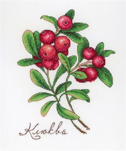 Набор для вышивания  Дары природы. Клюква - фото 25614