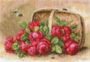 Рисунок на канве  Знойные розы