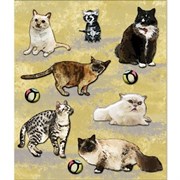 Наклейки  Животные  Котики