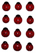 Набор пуговиц  Button Fun. Божьи коровки