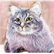 Бумага рисовая  Кошки