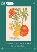 Схема для вышивания ПОМИДОР ПЛОДОНОСНЫЙ Схема для вышивания ПОМИДОР ПЛОДОНОСНЫЙ