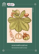 Схема для вышивания КОНСКИЙ КАШТАН Схема для вышивания КОНСКИЙ КАШТАН