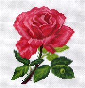 Рисунок на канве  Роза