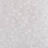 Бисер Gamma E200 прозрачный матовый ( 38302 ) Бисер Gamma E200 прозрачный матовый ( 38302 )