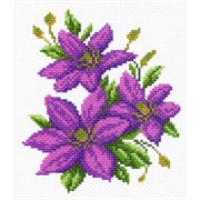 Рисунок на канве  Клематисы