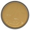 Крафтовая краска ЕНОТ 50 мл., цвет лев