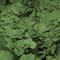 Хлопья для декорирования, Изумруд (Зеленый) - фото 14328