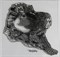 Штамп Король-лев, силиконовый ( Earth Art International ) - фото 16359